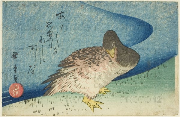 Goose on riverbank, c. 1833/34, Utagawa Hiroshige ?? ??, Japanese, 1797-1858, Japan, Color woodblock print, koban, 12.5 x 19.1 cm (5 x 7 1/4 in.)
