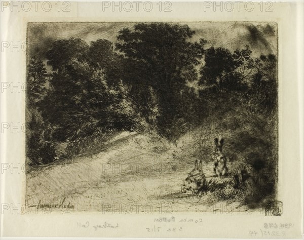 Combe Bottom, 1860, Francis Seymour Haden, English, 1818-1910, England, Etching and drypoint on ivory laid paper, 114 × 152 mm (image/plate), 142 × 181 mm (sheet), Cupid and Psyche (L’Amour et Psyché), 1862, Lorenz Frølich (Danish, 1820-1908), written by Apuleius (Roman, active c.155), published by Pierre-Jules Hetzel (French, 1814-1886), printed by Beillet (French, 19th century), Denmark, Book with twenty-one etchings in black on cream wove paper, 500 × 359 × 15 mm, Florence Emblems Schoonhovii I.C. Goudani (Emblemata Florentii Schoonhovii I.C. Goudani), 1626, Crispin de Passe, II (Dutch, c. 1597-c. 1670), written by Florentius Schoonhovius (Dutch, 1594-1648), published by Lugduni Batavorum (Dutch, 17th century), Netherlands, Book with engravings in black on cream laid paper, 200 x 160 x 20 mm