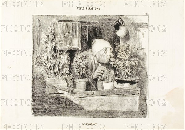 Smell, plate 38 from Types Parisiens, 1839, Honoré Victorin Daumier, French, 1808-1879, France, Lithograph in black on white wove paper, with letterpress verso, 201 × 229 mm (image), 253 × 358 mm (sheet)