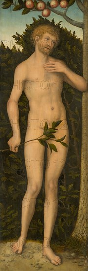 Adam, 1533/37, Lucas Cranach the Elder, German, 1472-1553, Germany, Oil on panel, Panel: 107.5 × 36.4 cm (42 5/16 × 14 5/16 in.), Painted Surface: 105.7 × 36.4 cm (41 5/8 × 14 5/16 in.)
