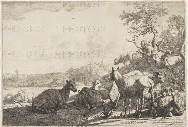 The Shepherd, 1644, Paulus Potter, Dutch, 1625-1654, Holland, Etching on ivory laid paper, 181 x 268 mm