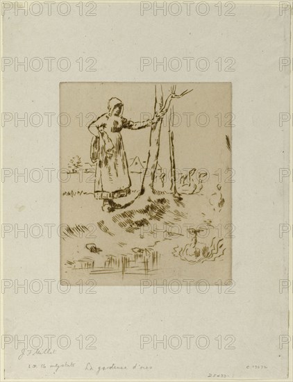 A Girl Minding Geese, 1855–56, Jean François Millet, French, 1814-1875, France, Drypoint in brown ink on ivory wove China paper, 143 × 121 mm (image), 263 × 201 mm (sheet)