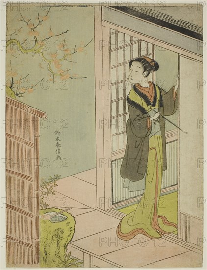 Beauty Admiring a Bush Warbler Singing in a Plum Tree, c. 1767/68, Suzuki Harunobu ?? ??, Japanese, 1725 (?)-1770, Japan, Color woodblock print, chuban, 27.8 x 20.7 cm (11 x 8 1/8 in.)