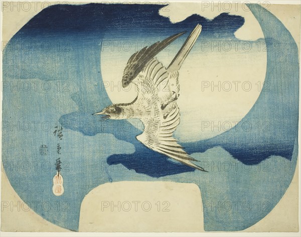 A Cuckoo against the Moon, c. 1843/46, Utagawa Hiroshige ?? ??, Japanese, 1797-1858, Japan, Color woodblock print, uchiwa-e, 24 x 30.7 cm (9 1/8 x 11 5/8 in.)