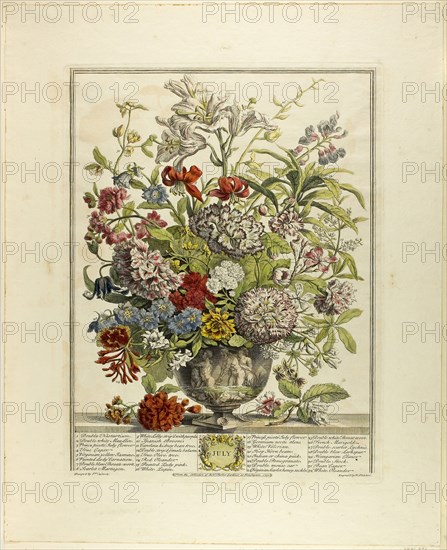 July, n.d., Henry Fletcher (English, 1710-1750), after Peter Casteels III (Flemish, 1684-1749), England, Hand-colored etching on paper, 405 × 305 mm (image), 600 × 465 mm (sheet)