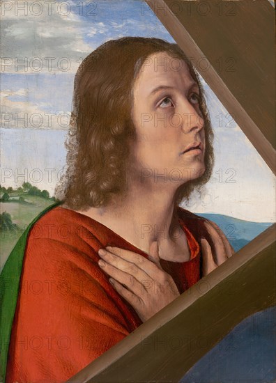Fragment from Christ Carrying the Cross: Saint John the Evangelist, 1500/05, Jean Hey, known as the Master of Moulins, Active Lyon and Moulins, c. 1475–c. 1505, Provence, Oil on panel, 10 3/4 × 7 7/8 in. (27.3 × 20 cm), image: 10 1/4 × 7 7/16 in. (26 × 18.8 cm)
