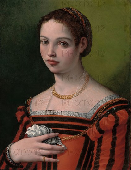 Portrait of a Lady, 1550/60, Michele Tosini, called Michele di Ridolfo, Italian, 1503-1577, Italy, Oil on panel, 55.8 x 42.7 cm (22 x 16 3/4 in.)