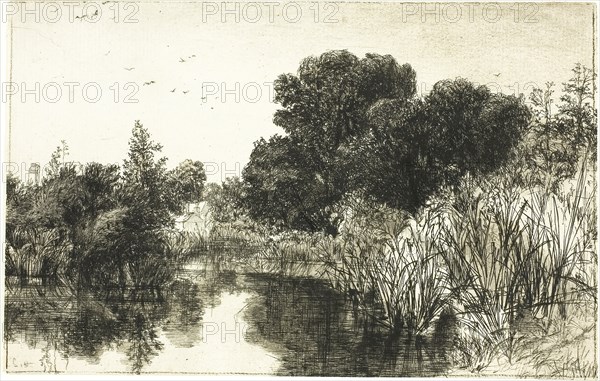 Shere Mill Pond, No. II (large plate), c. 1860, Francis Seymour Haden, English, 1818-1910, England, Etching with drypoint on ivory laid paper, 150 × 236 mm