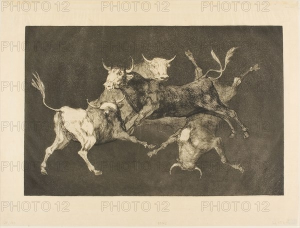 Fool’s Folly, from Disparates, 1816–19, published 1877, Francisco José de Goya y Lucientes (Spanish, 1746–1828), printed by François Liénard (French, active 1860s–1880s), Spain, Etching and burnished aquatint in black on Japanese paper, 212 x 324 mm (image), 245 x 345 mm (plate), 283 x 375 mm (sheet)