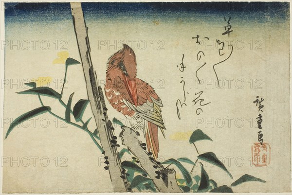 Kingfisher and dayflower, 1830s, Utagawa Hiroshige ?? ??, Japanese, 1797-1858, Japan, Color woodblock print, yotsugiriban, 12.9 x 16.4 cm
