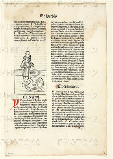 Man purging fluid from lungs (recto) and Plant for abdominal pain (verso) from Hortus Sanitatis (Garden of Health), Plate 35 from Woodcuts from Books of the 15th Century, 1491, portfolio assembled 1929, Unknown Artist (Mainz, late 15th century), printed and published by Jakob Meydenbach (German, active 1491–c. 1495), portfolio text by Wilhelm Ludwig Schreiber (German, 1855–1932), Germany, Woodcut and letterpress in black (recto and verso) on buff laid paper, tipped onto cream wove paper mat, 87 x 63 mm (image, recto), 105 x 62 mm (image, verso), 307 x 207 mm (sheet)