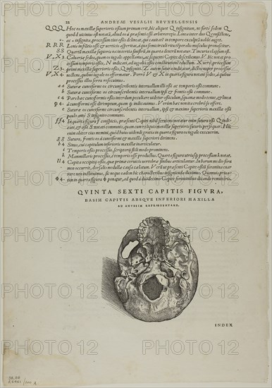 Leaf from De humani corporis fabrica (skull), plate 100 from Woodcuts from Books of the XVI Century, 1543, assembled into portfolio 1937, Attributed to Jan Stephan van Calcar (Netherlandish, 1499-1546/50), assembled by Max Geisberg (Swiss, 1875-1943), Netherlands, Woodcut on paper, 111 x 109 mm (image, recto), 324 x 196 mm (image/text, recto), 79 x 103 mm (image, verso), 325 x 193 mm (image/text, verso), 401 x 280 mm (sheet)