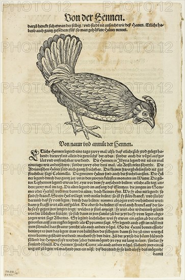 Illustration from Vogelbuch, plate 41 from Woodcuts from Books of the XVI Century, 1557, assembled into portfolio 1937, Unknown Artist (Swiss, 16th century), assembled by Max Geisberg (Swiss, 1875-1943), Switzerland, Woodcut on paper, 134 x 152 mm (image), 306 x 172 mm (image/text), 348 x 227 mm (sheet)