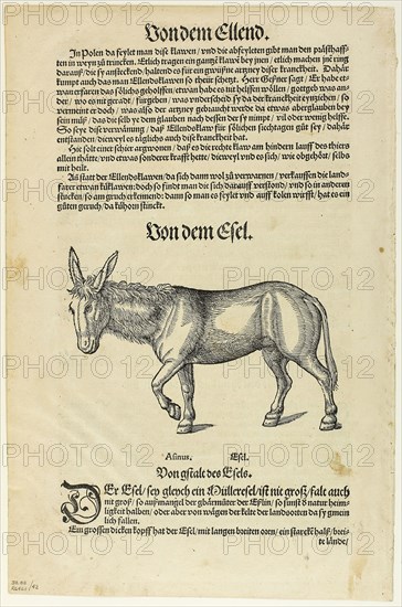 Illustration from Thierbuch, plate 42 from Woodcuts from Books of the XVI Century, 1563, assembled into portfolio 1937, Attributed to Hans Asper (Swiss, c. 1499-1571), assembled by Max Geisberg (Swiss, 1875-1943), Switzerland, Woodcut on paper, 110 x 162 mm (image), 306 x 170 mm (image/text), 348 x 229 mm (sheet)