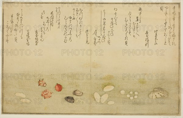 Sudare-gai, hana-gai, sakura-gai, mumeno-gai, nadeshiko-gai, and kinuta-gai, from the illustrated book Gifts from the Ebb Tide (Shiohi no tsuto), 1789, Kitagawa Utamaro ??? ??, Japanese, 1753 (?)-1806, Japan, Color woodblock print, double-page illustration from book