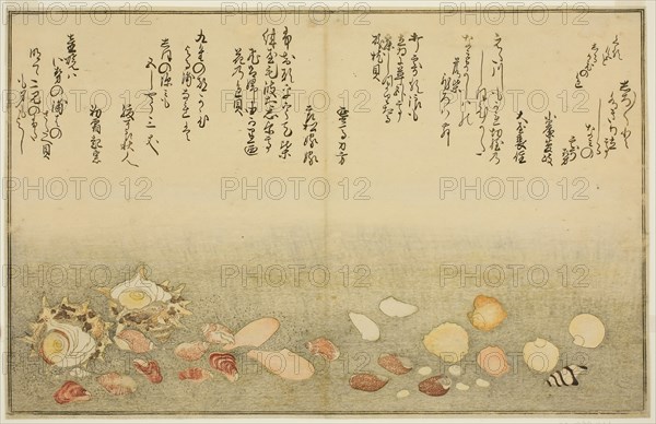 Shiro-gai, namima-gashiwa, makura-gai, iro-gai, aza-gai, sadae-gai, from the illustrated book Gifts from the Ebb Tide (Shiohi no tsuto), 1789, Kitagawa Utamaro ??? ??, Japanese, 1753 (?)-1806, Japan, Color woodblock print, double-page illustration from book