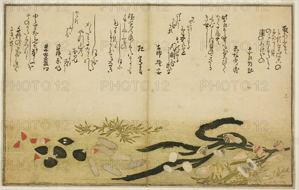 Minashi-gai, shio-gai, katatsu-gai, miso-gai, chijimi-gai, and chigusa-gai, from the illustrated book Gifts from the Ebb Tide (Shiohi no tsuto), 1789, Kitagawa Utamaro ??? ??, Japanese, 1753 (?)-1806, Japan, Color woodblock print, double-page illustration from book