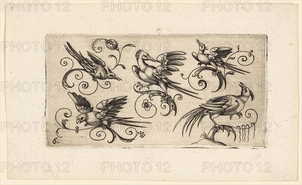 Ornament Panels with Birds: Plate 6, 1617, Adrian Muntink, Dutch, active 1597-1617, Netherlands, Engraving in black on paper, 49 x 97 mm (plate)