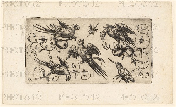 Ornament Panels with Birds: Plate 7, 1617, Adrian Muntink, Dutch, active 1597-1617, Netherlands, Engraving in black on paper, 51 x 97 mm (plate)