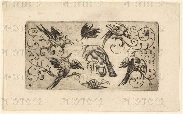 Ornament Panels with Birds: Plate 8, 1617, Adrian Muntink, Dutch, active 1597-1617, Netherlands, Engraving in black on paper, 51 x 57 mm (plate)