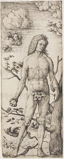 Adam, by 1522, Daniel Hopfer, I, German, 1470-1536, Germany, Etching in black on cream laid paper, 283 x 110 mm (image/plate/sheet)
