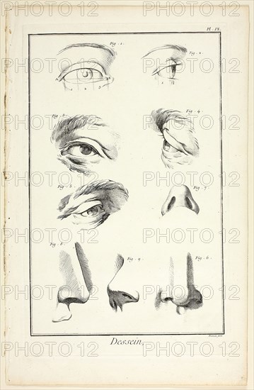 Design: Facial Anatomy from Encyclopédie, 1762/77, Benoît-Louis Prévost (French, c. 1735-1809), published by André le Breton (French, 1708-1779), Michel-Antoine David (French, c. 1707-1769), Laurent Durand (French, 1712-1763), and Antoine-Claude Briasson (French, 1700-1775), France, Etching, with engraving, on cream laid paper, 320 × 205 mm (image), 350 × 220 mm (plate), 400 × 260 mm (sheet)