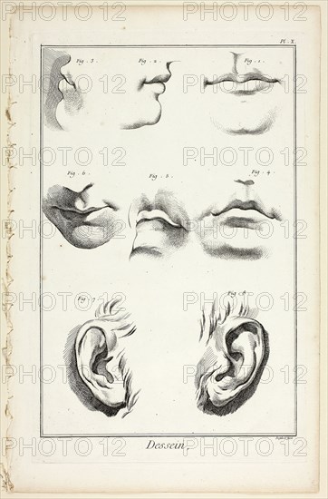Design: Facial Anatomy from Encyclopédie, 1762/77, A. J. Defehrt (French, active 18th century), published by André le Breton (French, 1708-1779), Michel-Antoine David (French, c. 1707-1769), Laurent Durand (French, 1712-1763), and Antoine-Claude Briasson (French, 1700-1775), France, Etching, with engraving, on cream laid paper, 400 × 260 mm