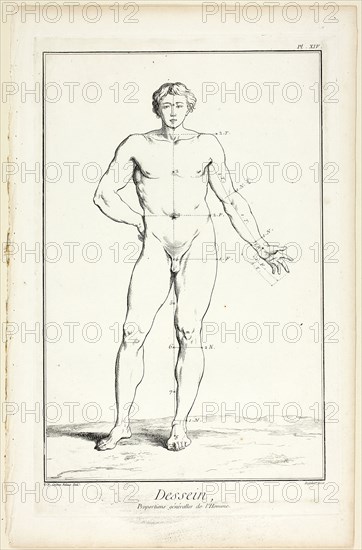 Design: General Proportions of the Male, from Encyclopédie, 1762/77, A. J. Defehrt (French, active 18th century), after Charles-Nicholas Cochin, the younger (French, 1715-1790), published by André le Breton (French, 1708-1779), Michel-Antoine David (French, c. 1707-1769), Laurent Durand (French, 1712-1763), and Antoine-Claude Briasson (French, 1700-1775), France, Etching, with engraving, on cream laid paper, 400 × 260 mm
