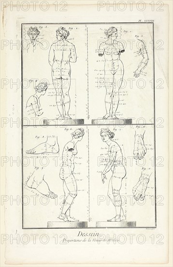 Design: Proportions of the Medici Venus, from Encyclopédie, 1762/77, Benoît-Louis Prévost (French, c. 1735-1809), published by André le Breton (French, 1708-1779), Michel-Antoine David (French, c. 1707-1769), Laurent Durand (French, 1712-1763), and Antoine-Claude Briasson (French, 1700-1775), France, Etching, with engraving, on cream laid paper, 316 × 207 mm (image), 355 × 225 mm (plate), 400 × 260 mm (sheet)