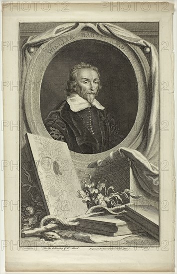 William Harvey, M.D., 1739, Jacobus Houbraken, Dutch, 1698-1780, Holland, Engraving, with etching, on ivory wove paper, 359 x 225 mm (image), 371 x 235 mm (plate), 429 x 272 mm (sheet)