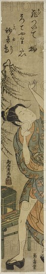 Young woman releasing a bird, c. 1760/65, Torii Kiyomitsu I, Japanese, 1735-1785, Japan, Color woodblock print, hashira-e, benizuri-e, 62.2 x 9.8 (24 1/2 x 3 7/8 in.)