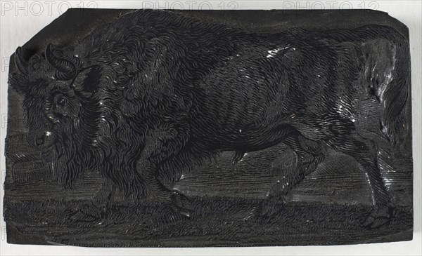 Woodblock for The Urus or Wild Bull, from A General History of Quadrupeds, c. 1790, Thomas Bewick, English, 1753-1828, England, Wood engraving block