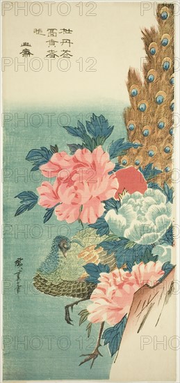 Peacock and peonies, 1830s, Utagawa Hiroshige ?? ??, Japanese, 1797-1858, Japan, Color woodblock print, otanzaku, 38 x 17.5 cm (14 7/8 x 6 7/8 in.)