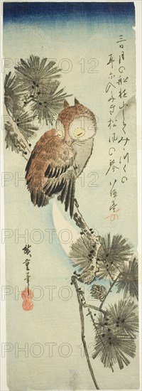 Small-horned owl, pine, and crescent moon, 1830s, Utagawa Hiroshige ?? ??, Japanese, 1797-1858, Japan, Color woodblock print, chutanzaku, 37 x 12.5 cm