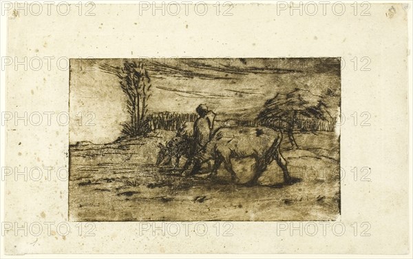 The Two Cows, c. 1847, Jean François Millet, French, 1814-1875, France, Etching and drypoint on ivory wove paper, 91 × 153 mm (image), 142 × 227 mm (sheet)