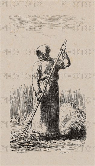 Woman Raking Hay, 1853, after drawing made in 1852, Jacques Adrien Lavieille (French, 1818-1862), after Jean François Millet (French, 1814-1875), France, Wood engraving in black on gray China paper, laid down on ivory wove paper (chine collé), 133 × 74 mm (image), 182 × 132 mm (primary support), 265 × 215 mm (secondary support)