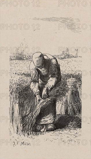 Woman Pulling Flax, 1853, after drawing made in 1852, Jacques Adrien Lavieille (French, 1818-1862), after Jean François Millet (French, 1814-1875), France, Wood engraving in black on gray China paper, laid down on ivory wove paper (chine collé), 132 × 75 mm (image), 182 × 131 mm (primary support), 291 × 234 mm (secondary support)