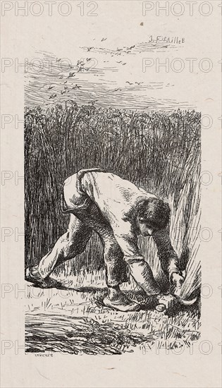 Reaper, 1853, after drawing made in 1852, Jacques Adrien Lavieille (French, 1818-1862), after Jean François Millet (French, 1814-1875), France, Wood engraving in black on gray China paper, laid down on ivory wove paper (chine collé), 135 × 74 mm (image), 182 × 132 mm (primary support), 291 × 235 mm (secondary support)
