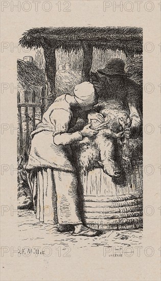 Woman Shearing Sheep, 1853, after drawing made in 1852, Jacques Adrien Lavieille (French, 1818-1862), after Jean François Millet (French, 1814-1875), France, Wood engraving in black on gray China paper, laid down on ivory wove paper (chine collé), 130 × 73 mm (image), 180 × 131 mm (primary support), 257 × 213 mm (secondary support)