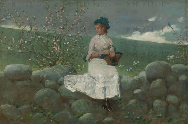 Peach Blossoms, 1878, Winslow Homer, American, 1836–1910, United States, Oil on canvas, 33.7 × 49 cm (13 1/4 × 19 5/8 in.)