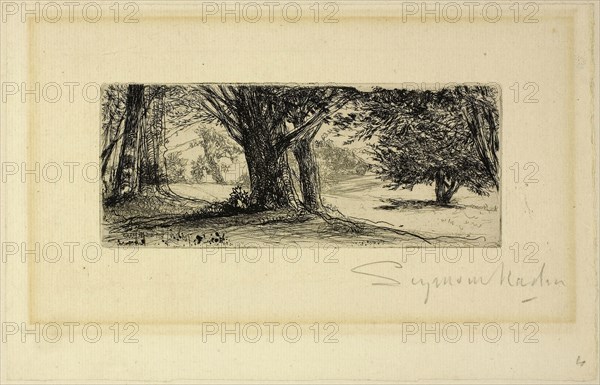 The Holly Fields, 1860, Francis Seymour Haden, English, 1818-1910, England, Etching with drypoint on ivory laid paper, 52 × 127 mm (image/plate), 118 × 186 mm (sheet)