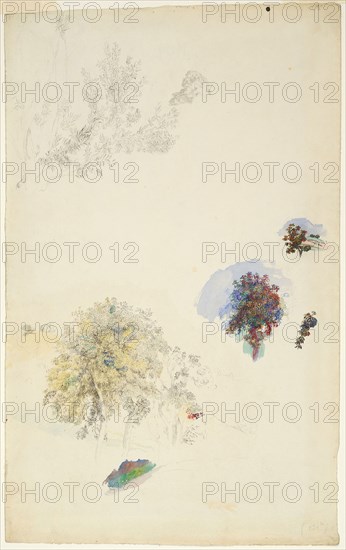 Studies of Trees and Foliage, 1884/87, Pierre Auguste Renoir, French, 1841-1919, France, Pen and black ink with opaque and transparent watercolor on ivory wove paper, 497 × 309 mm