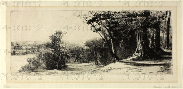 Early Morning, Richmond Park, 1859, Francis Seymour Haden, English, 1818-1910, England, Etching on ivory laid paper, 113 × 279 mm (image/plate), 151 × 305 mm (sheet)