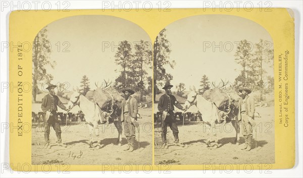 Mountain transportation. Pack mule, Pack and Packers, 1871, Timothy O’Sullivan (American, born Ireland, 1840–1882), commissioned by George Wheeler for the War Department, Corps of Engineers, U.S. Army, United States, Albumen print, stereo, No. 7 from the series "Geographical Explorations and Surveys West of the 100th Meridian