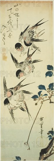 Swallows and flowering branch, 1830s, Utagawa Hiroshige ?? ??, Japanese, 1797-1858, Japan, Color woodblock print, chutanzaku, 37.7 x 12.5 cm