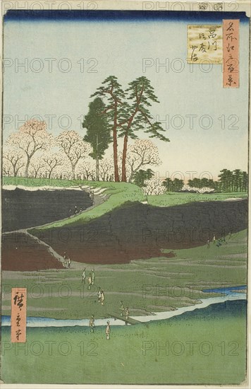 Goten Hill at Shinagawa (Shinagawa Gotenyama), from the series One Hundred Famous Views of Edo (Meisho Edo hyakkei), 1856, Utagawa Hiroshige ?? ??, Japanese, 1797-1858, Japan, Color woodblock print, oban, 34.8 x 22.8 cm (13 11/16 x 9 in.)