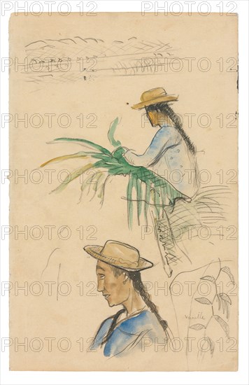 Sketches of Figures, Pandanus Leaf, and Vanilla Plant, 1891/93, Paul Gauguin, French, 1848-1903, France, black fabricated chalk and watercolor on cream wove paper (removed from a sketchbook), 313 × 201 mm