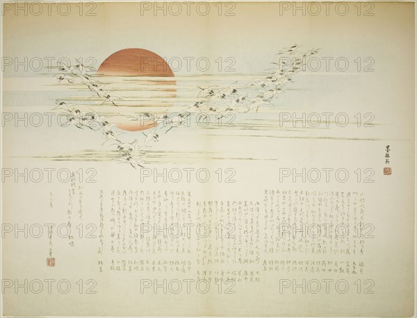 Multitudes of Cranes, spring 1863, Bokushin, Japanese, active 19th century, Japan, Color woodblock print, surimono, 57.0 x 43.7 cm
