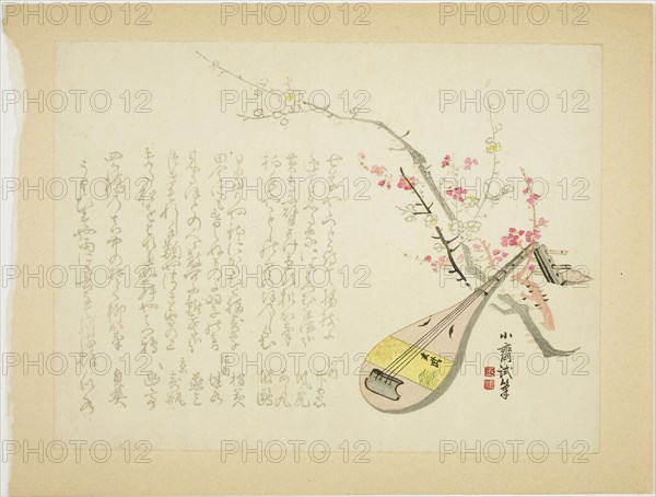 Plums and Biwa, 1860s, Tanomura Shosai, Japanese, 1847-1909, Japan, Color woodblock print, surimono, 25.6 x 19.2 cm
