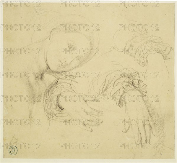 Sheet of Studies with the Head of the Fornarina and Hands of Madame de Senonnes, 1814/16, Jean–Auguste–Dominique Ingres, French, 1780–1867, France, Graphite, with stumping, on light-weight yellowish-tan wove paper, laid down on white wove paper, perimeter mounted on cream wove paper, 189 × 210 mm